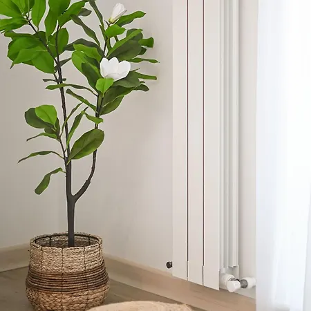 Lalublack Sea Infinity Pools Mamaia