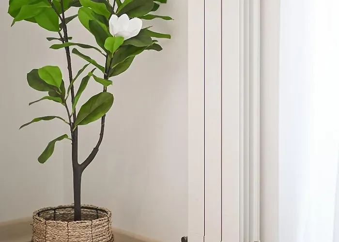 Lalublack Sea Infinity Pools Mamaia